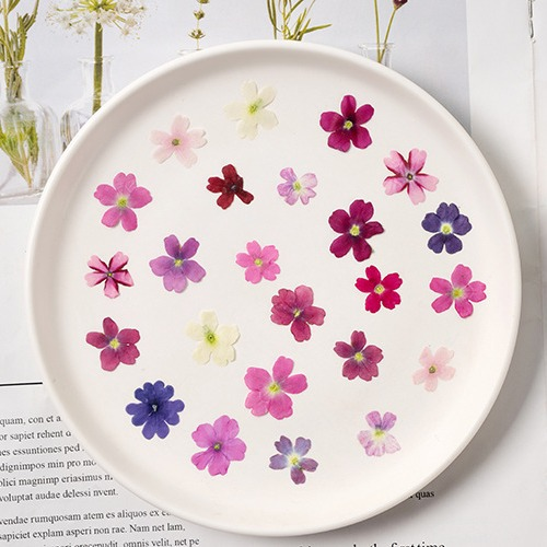 60Pcs Various Mini Dried Flowe - огляд і ціна Beauty Makeup Bridal