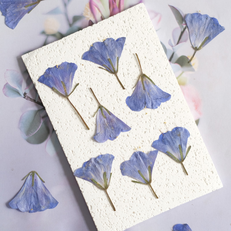 12pcs/3-5cm,nature Bluebell Em - огляд і ціна Beauty Makeup Bridal
