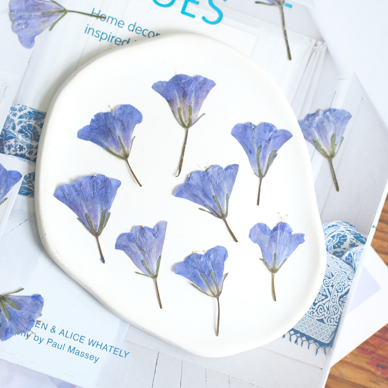 12pcs/3-5cm,nature Bluebell Em - огляд і ціна Beauty Makeup Bridal