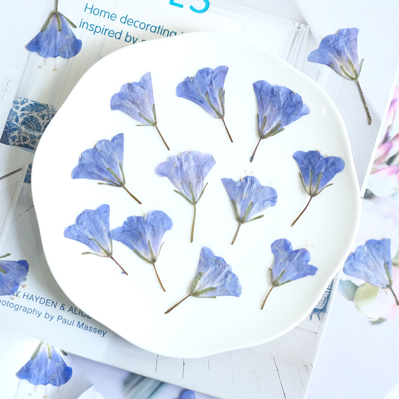 12pcs/3-5cm,nature Bluebell Em - огляд і ціна Beauty Makeup Bridal