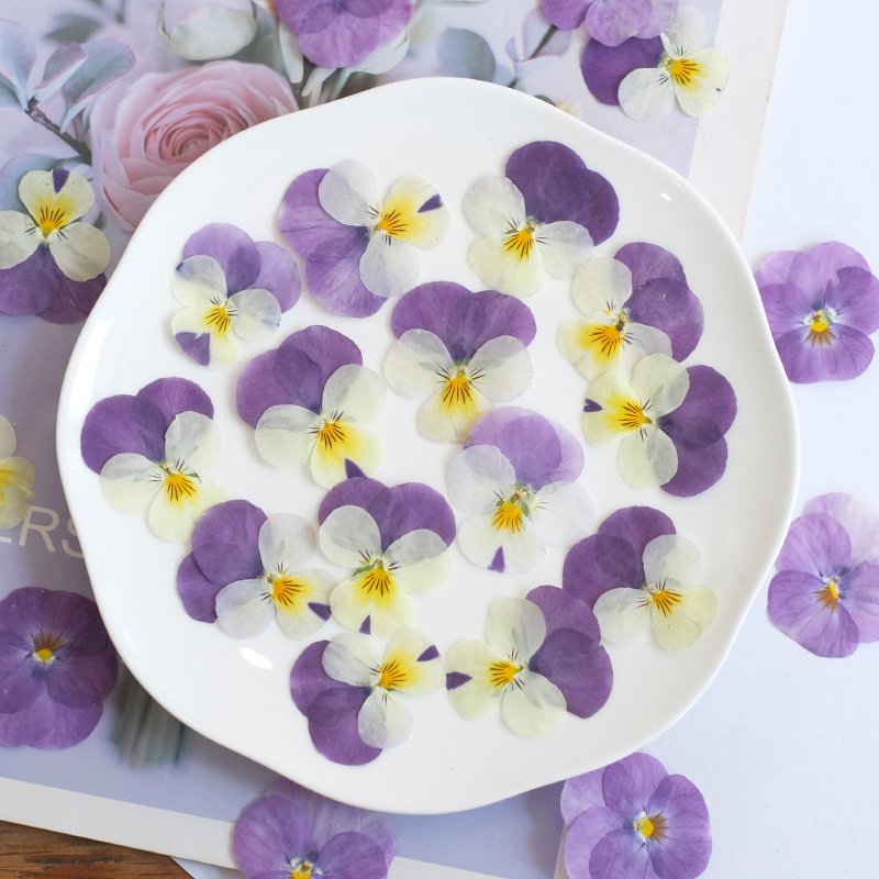 12pcs,nature Pansy Dried Flowe - огляд і ціна Beauty Makeup Bridal