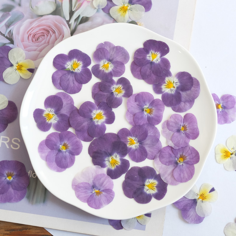 12pcs,nature Pansy Dried Flowe - огляд і ціна Beauty Makeup Bridal